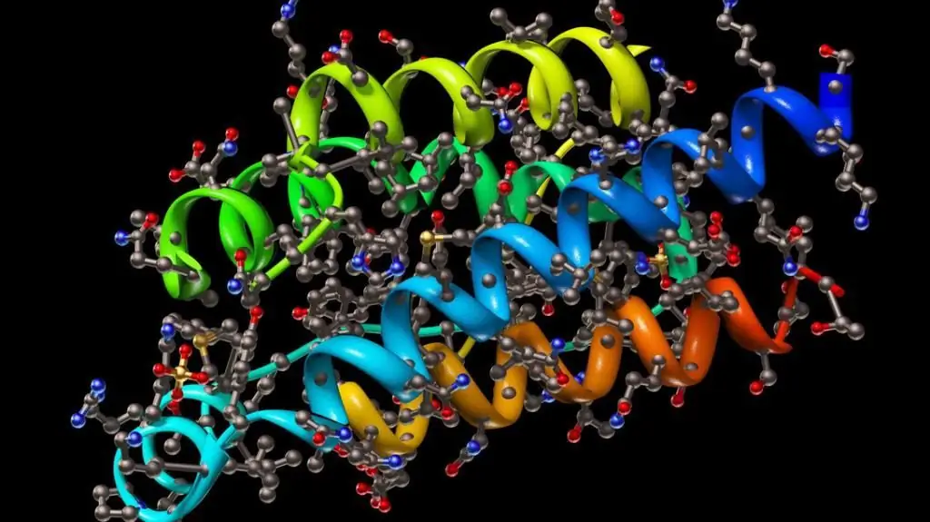 Polymer makromolekyler