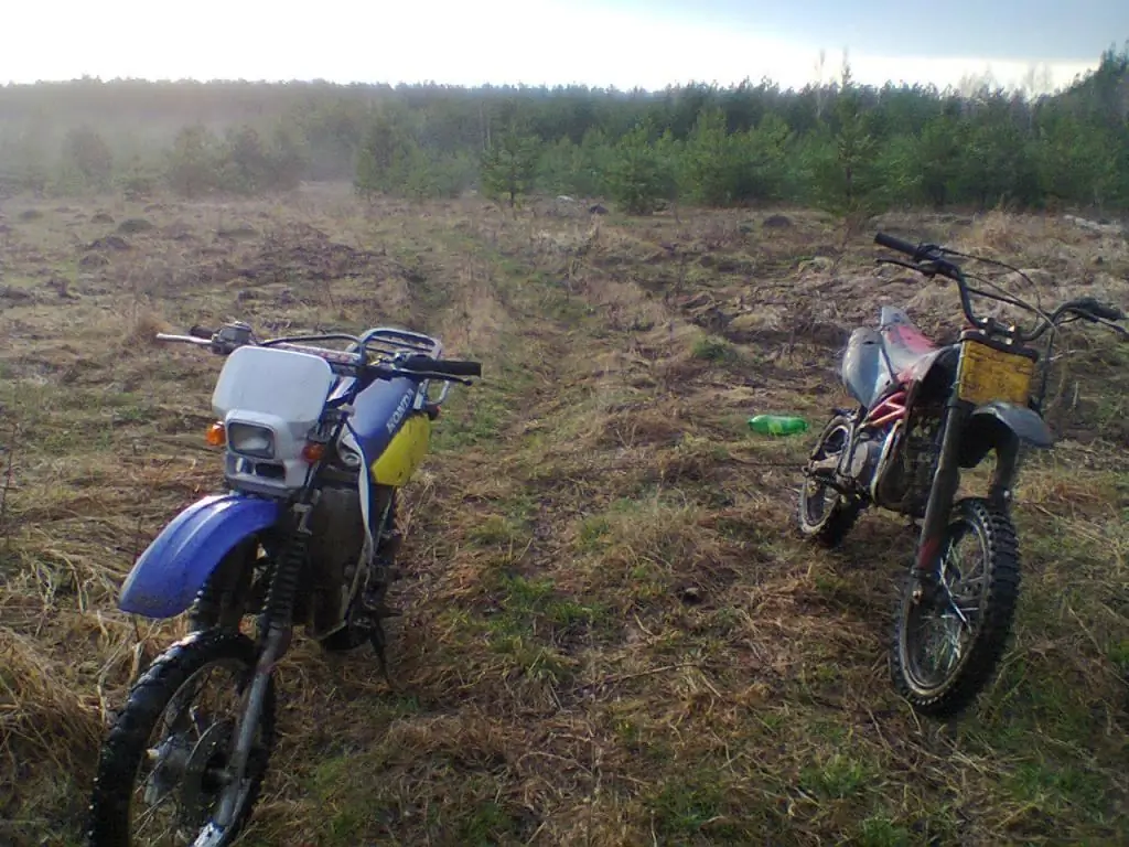 snow leopard dan honda depan