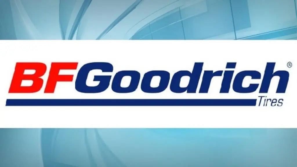 BFGoodrich g-Force Winter 2-banden: beoordelingen, beschrijvingen en specificaties